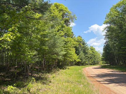 Timberland Property for sale in Burnett County, Wisconsin