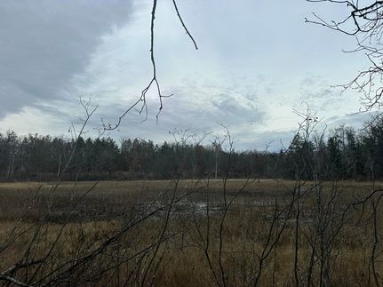 Timberland Property for sale in Oscoda County, Michigan