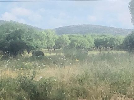 Land for sale in Llano County, Texas