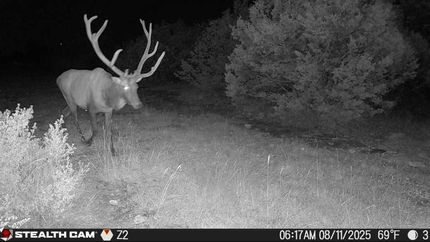 Land for sale in Edwards County, Texas