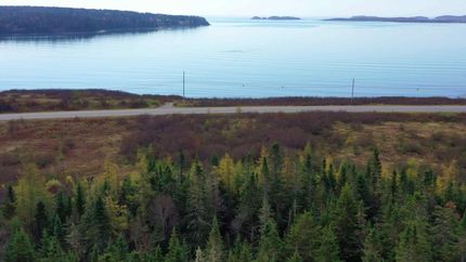 Farm and Ranch for sale in Washington County, Maine