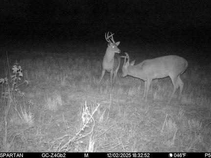 Land for sale in Butler County, Alabama