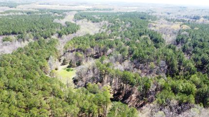 Farm and Ranch for sale in Alcorn County, Mississippi