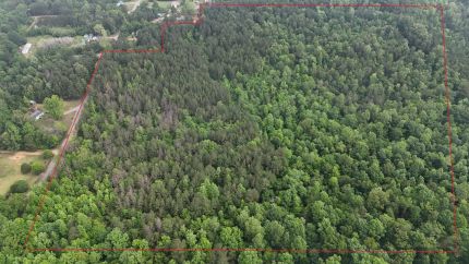 Land for sale in Winston County, Alabama