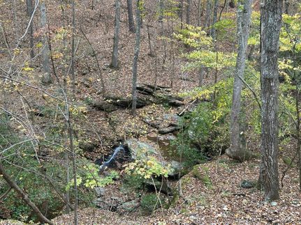 Undeveloped Land for sale in Polk County, Georgia