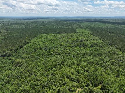 Farm and Ranch for sale in Harrison County, Texas