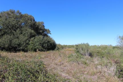 Land for sale in Jackson County, Texas