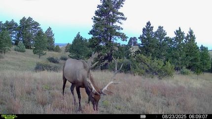 Timberland Property for sale in Yellowstone County, Montana