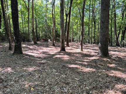 Land for sale in Wilkes County, North Carolina