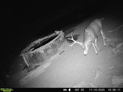 House for sale in Torrance County, New Mexico