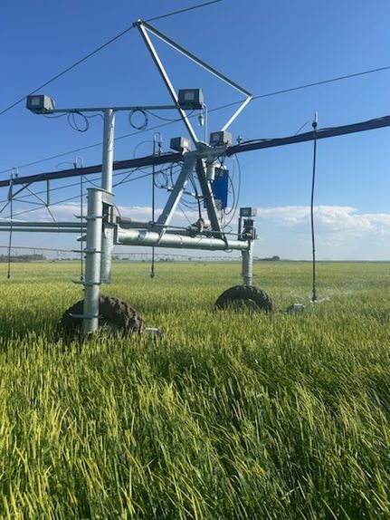 Farm and Ranch for sale in Cascade County, Montana