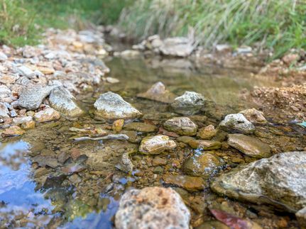 Farm and Ranch for sale in Ozark County, Missouri