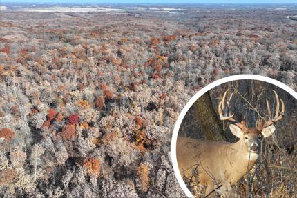 Land for sale in Davis County, Iowa