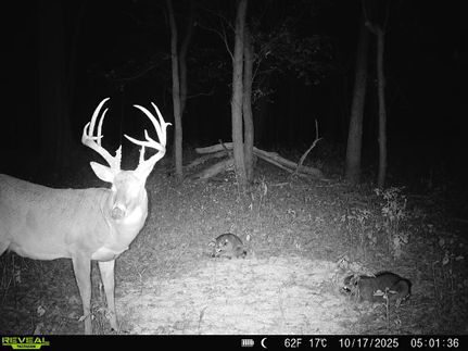 Land for sale in Lyon County, Kansas