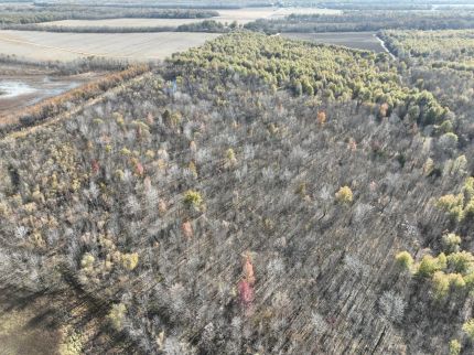 Farm and Ranch for sale in Quitman County, Mississippi