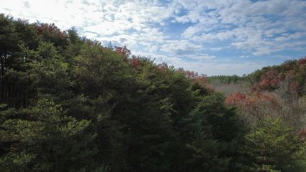 Land for sale in Gordon County, Georgia