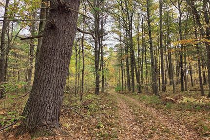 Timberland Property for sale in Marinette County, Wisconsin