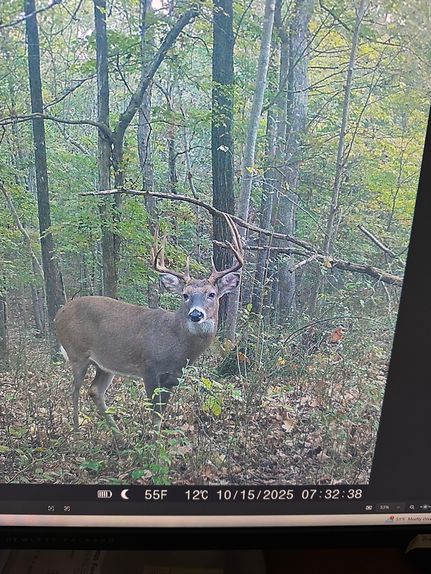 Waterfront Property for sale in Pope County, Illinois