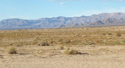 Land for sale in Mohave County, Arizona