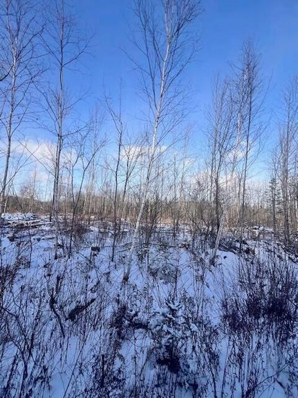 Land for sale in Aroostook County, Maine
