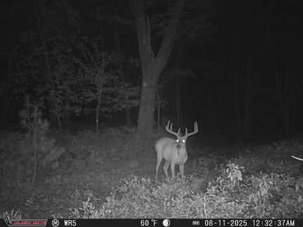 Timberland Property in Schuylkill County, Pennsylvania