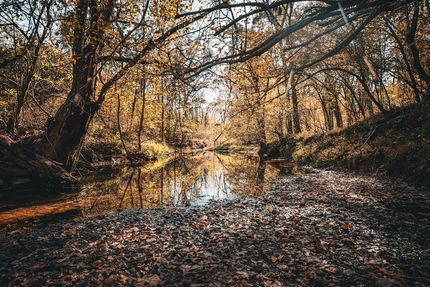 Farm and Ranch for sale in Orange County, Virginia