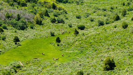 Land for sale in Rio Blanco County, Colorado