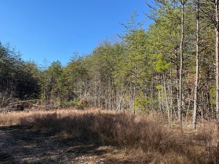 Recreational Property for sale in Owsley County, Kentucky