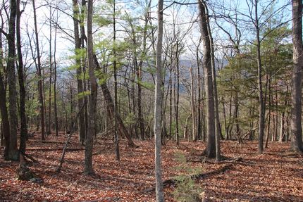 Recreational Property for sale in Shenandoah County, Virginia