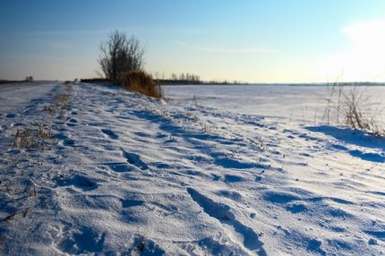 Lakefront Property for sale in Codington County, South Dakota