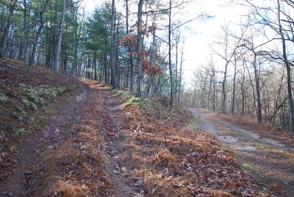 Timberland Property for sale in Hampshire County, West Virginia