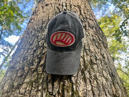 Undeveloped Land for sale in Wood County, West Virginia