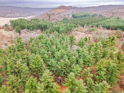 Recreational Property for sale in Buffalo County, Wisconsin