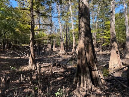 Recreational Property for sale in Beauregard Parish, Louisiana