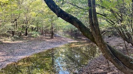 Farm and Ranch for sale in Covington County, Alabama