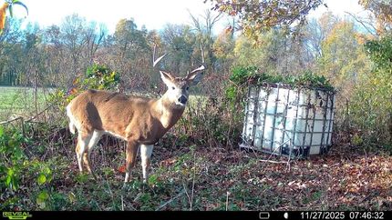 Recreational Property for sale in Crittenden County, Arkansas