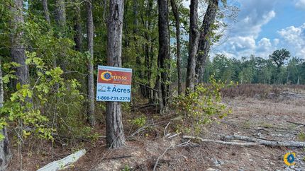 Timberland Property for sale in Lincoln County, Arkansas