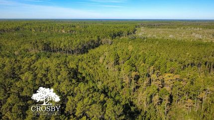 Commercial Property for sale in Bryan County, Georgia