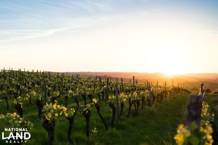 Farm and Ranch for sale in Albemarle County, Virginia
