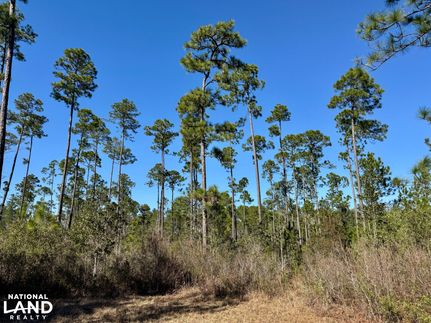 Farm and Ranch for sale in Baldwin County, Alabama