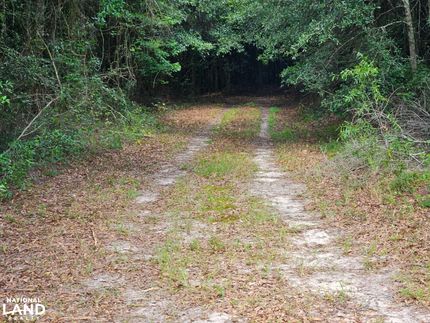 Farm and Ranch for sale in Henry County, Alabama