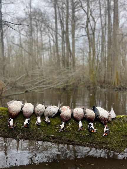 Farm and Ranch for sale in Duplin County, North Carolina