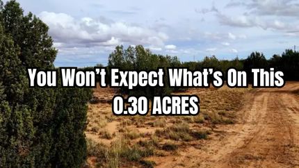 Undeveloped Land for sale in Putnam County, Florida