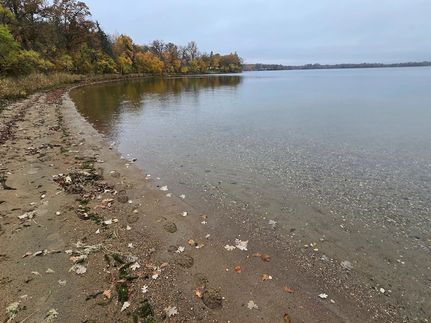 Undeveloped Land for sale in Otter Tail County, Minnesota