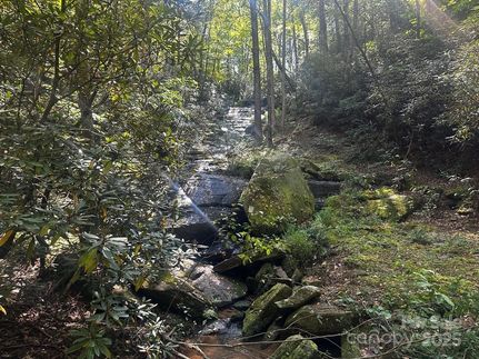 Farm and Ranch for sale in Rutherford County, North Carolina