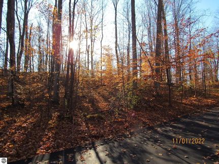 Homesite for sale in Grand Traverse County, Michigan