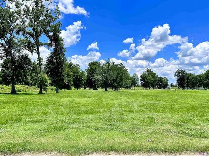 Timberland Property for sale in Ascension Parish, Louisiana