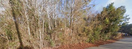 Land for sale in Dillon County, South Carolina