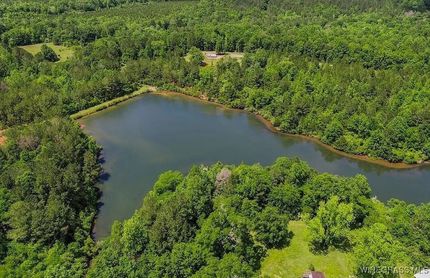 Undeveloped Land for sale in Conecuh County, Alabama