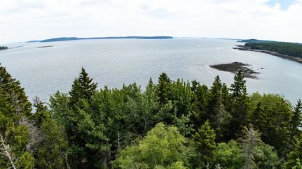 Timberland Property for sale in Washington County, Maine